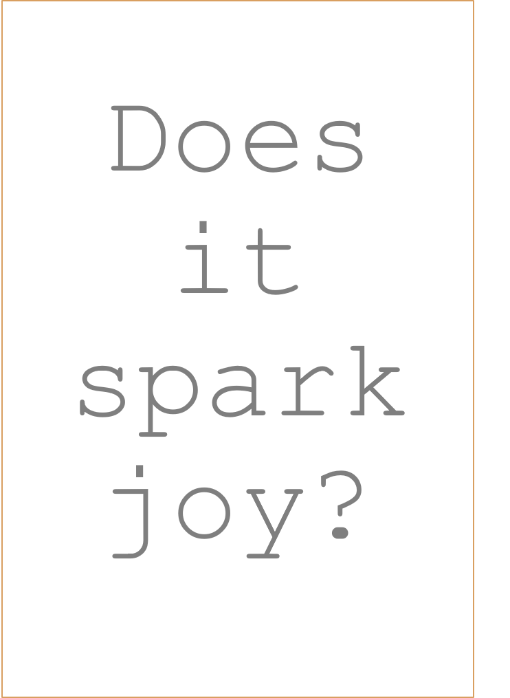 does-it-spark-joy