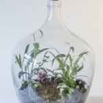 Flessengroen terrarium