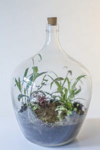 Flessengroen terrarium