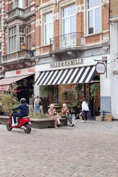 MECHELEN DILLE KAMILLE