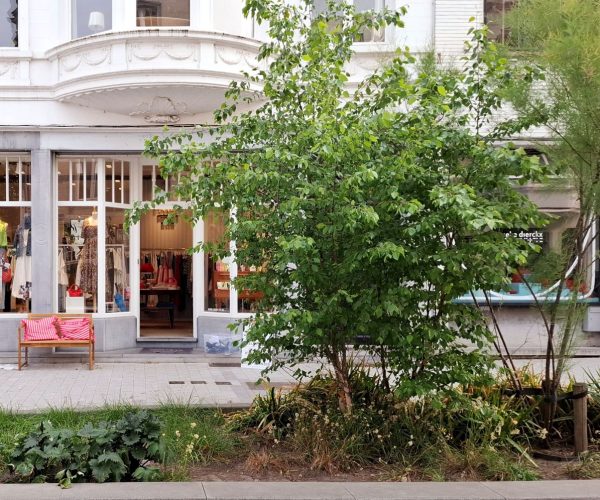 MECHELEN LILY SHOP